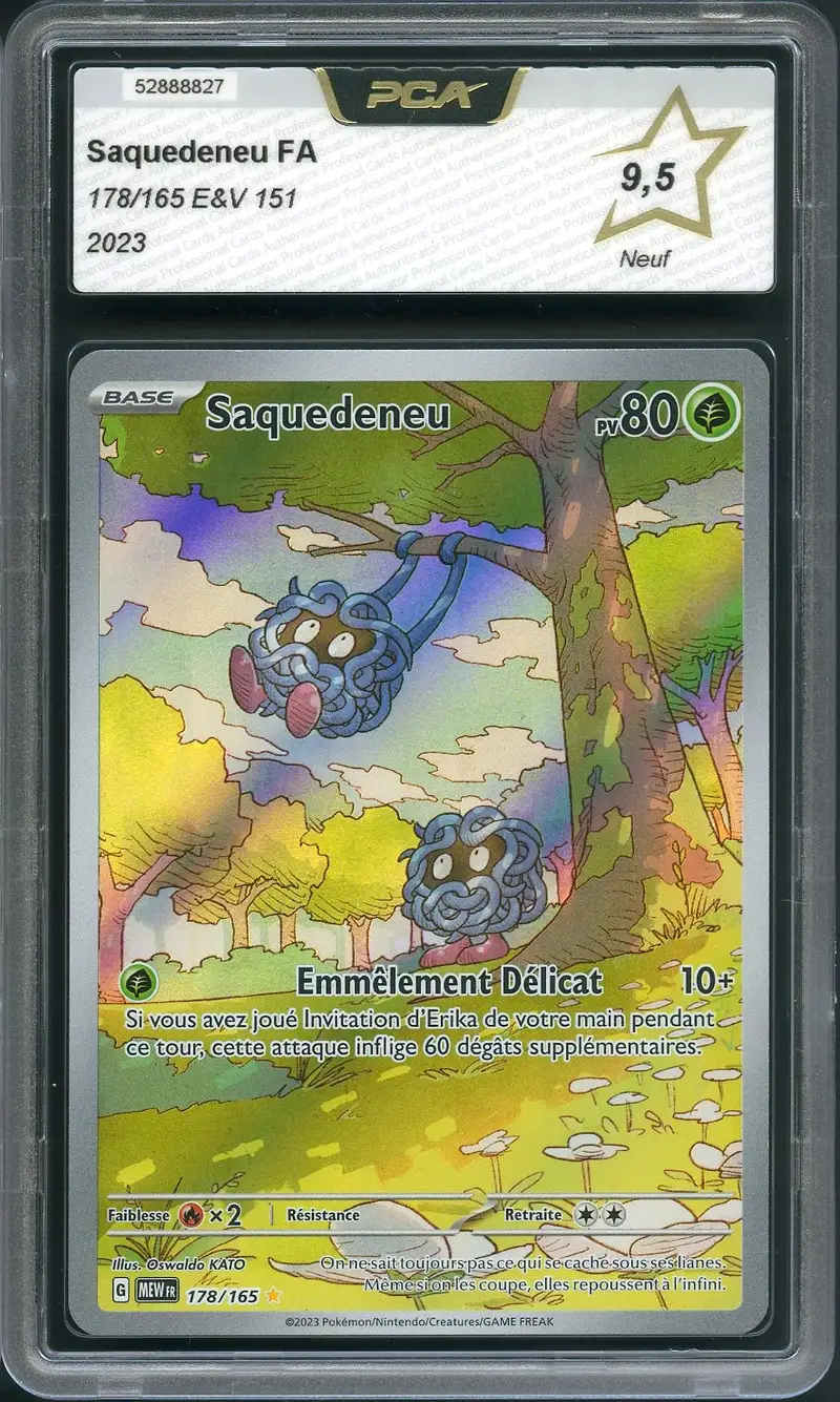 PCA 9.5 Saquedeneu