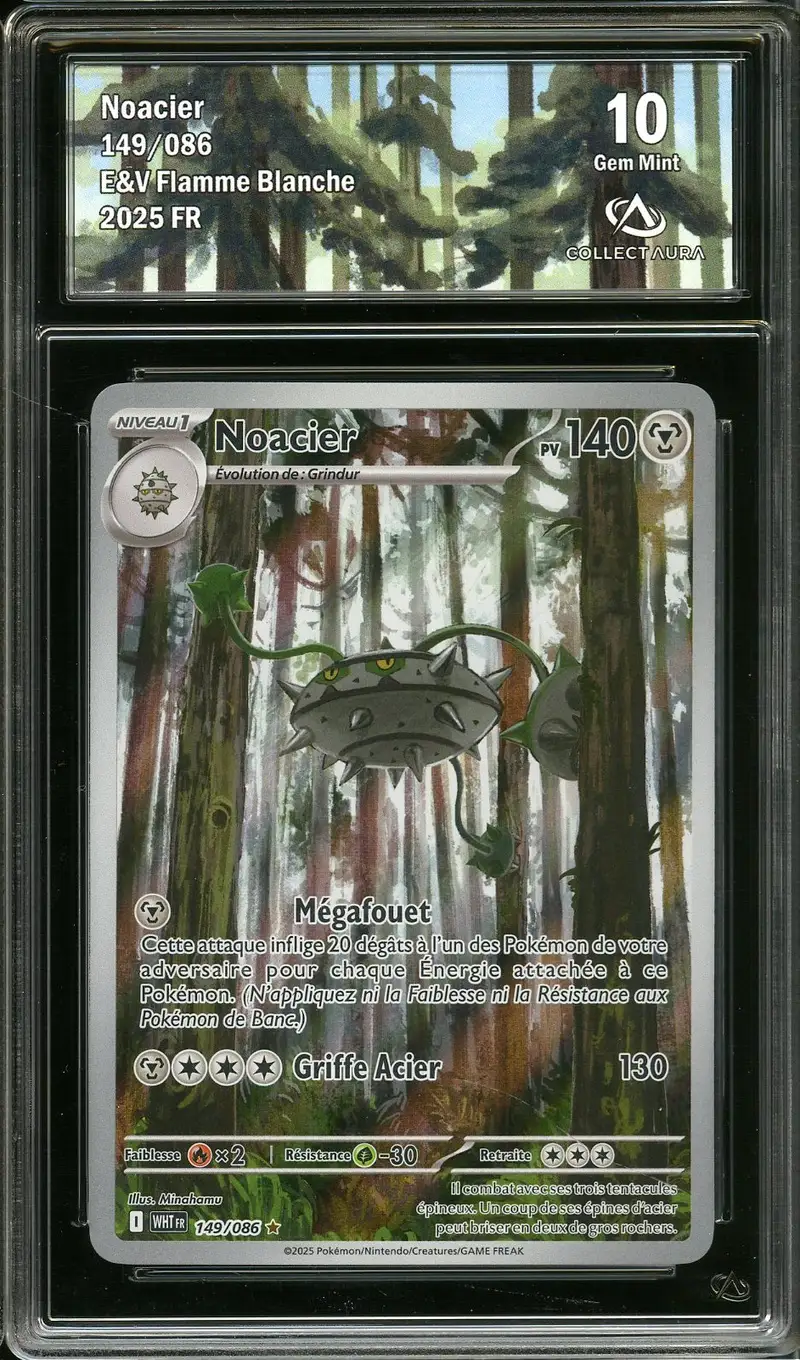 CA 10 Noacier