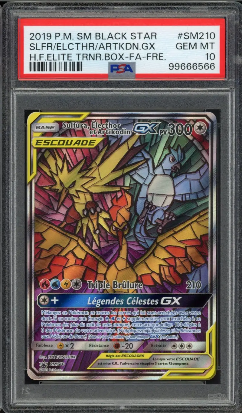 PSA 10 Sulfura, Électhor et Artikodin Gx