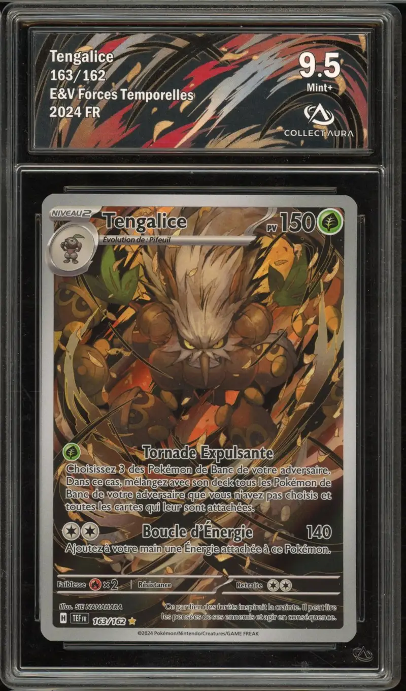 CA 9.5 Tengalice