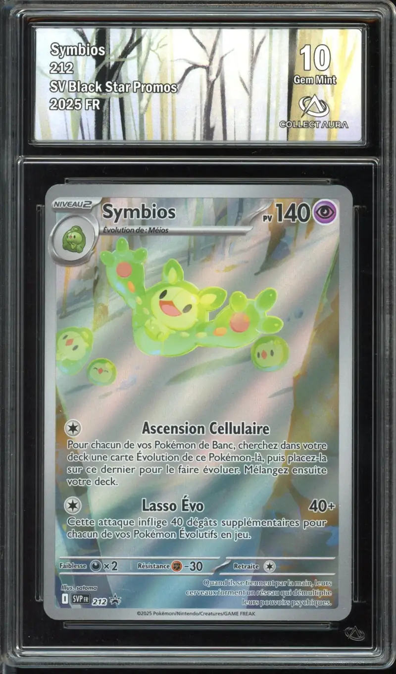 CA 10 Symbios