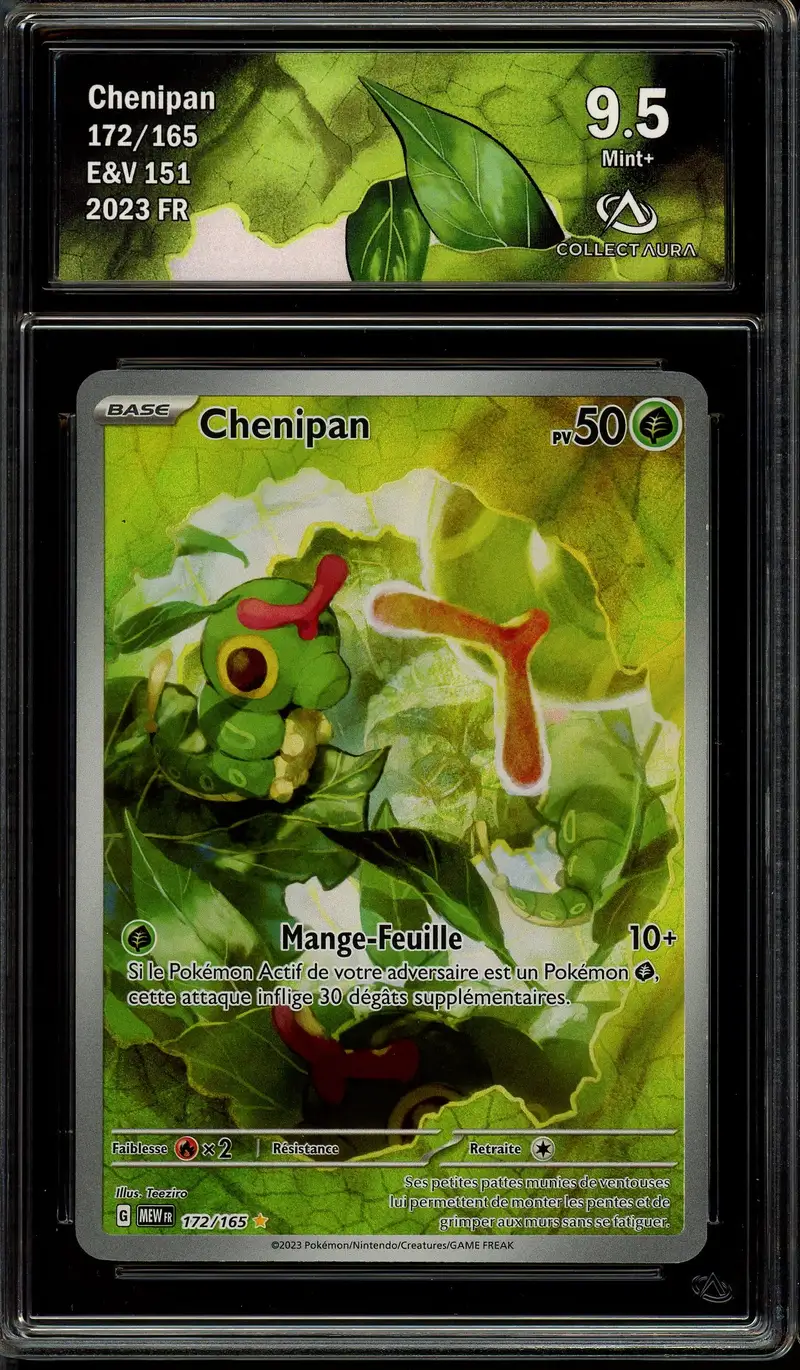 CA 9.5 Chenipan