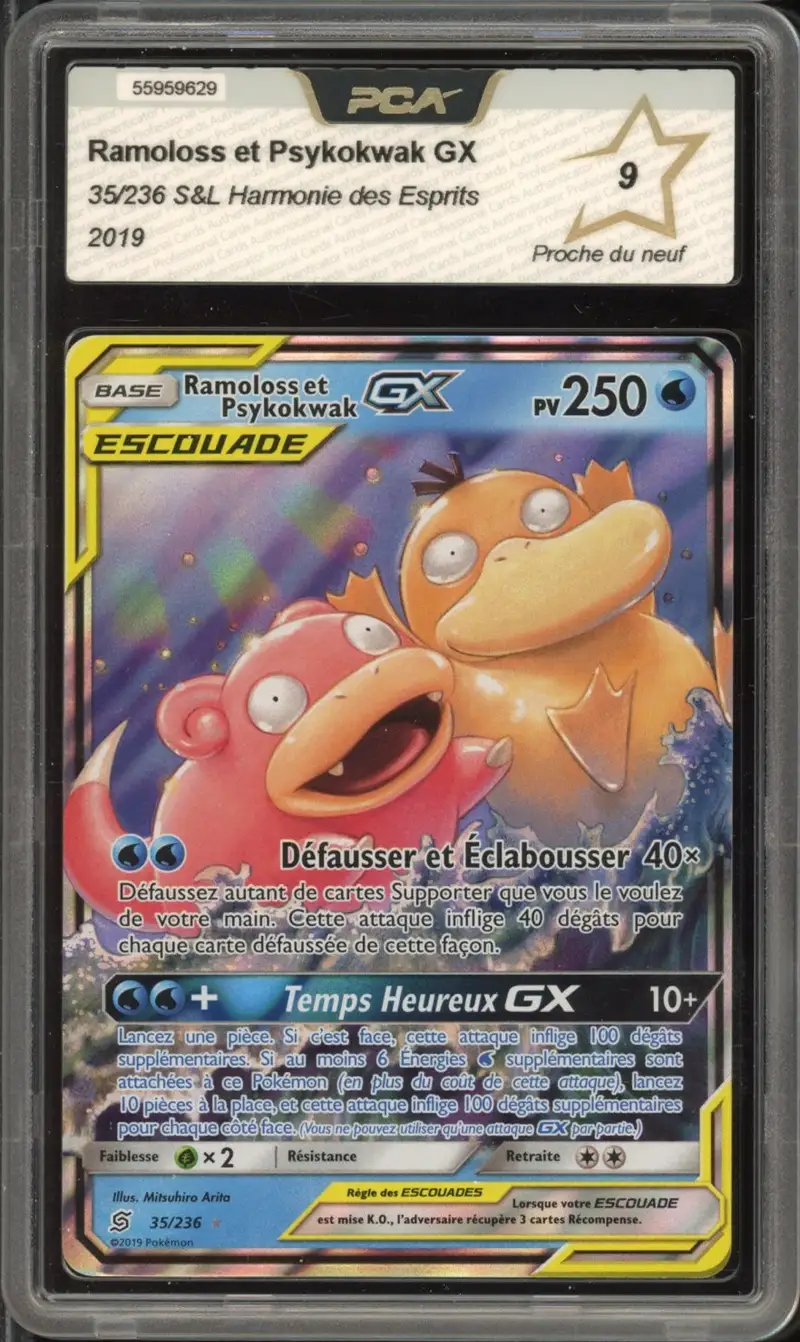 PCA 9 Ramoloss et Psykokwak Gx