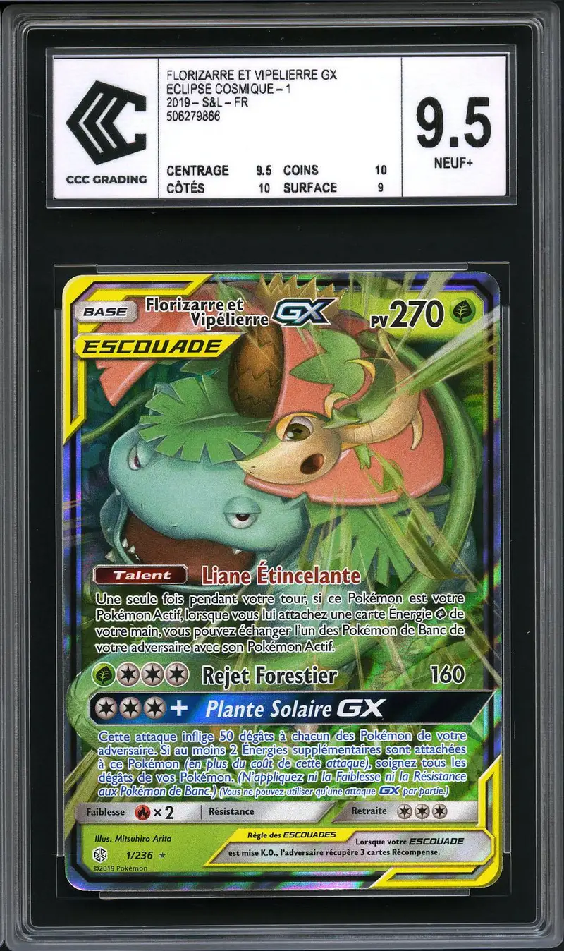 CCC 9.5 Florizarre & Vipélierre Gx