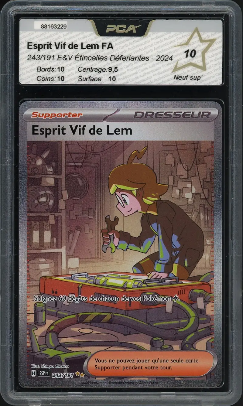 PCA 10 Esprit Vif de Lem