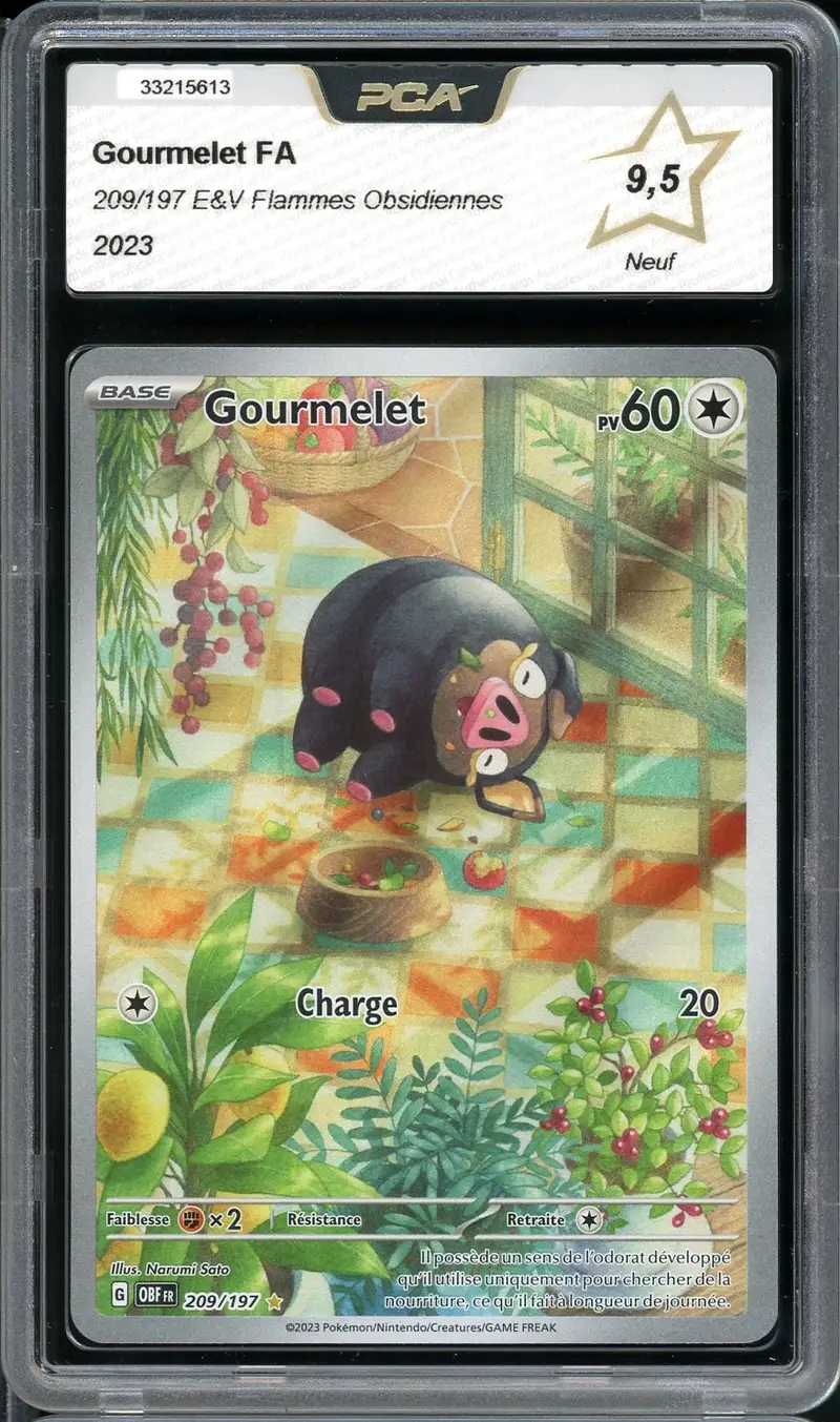 PCA 9.5 Gourmelet