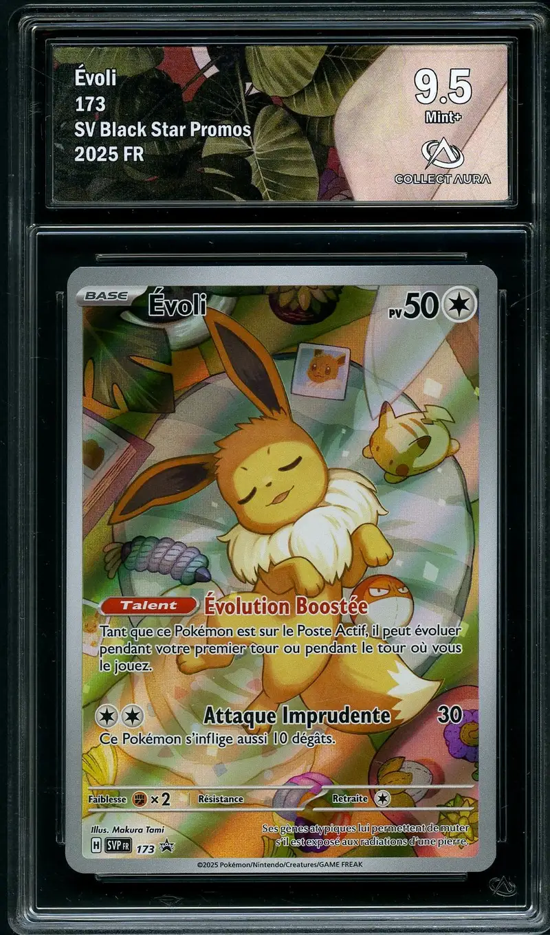 CA 9.5 Evoli