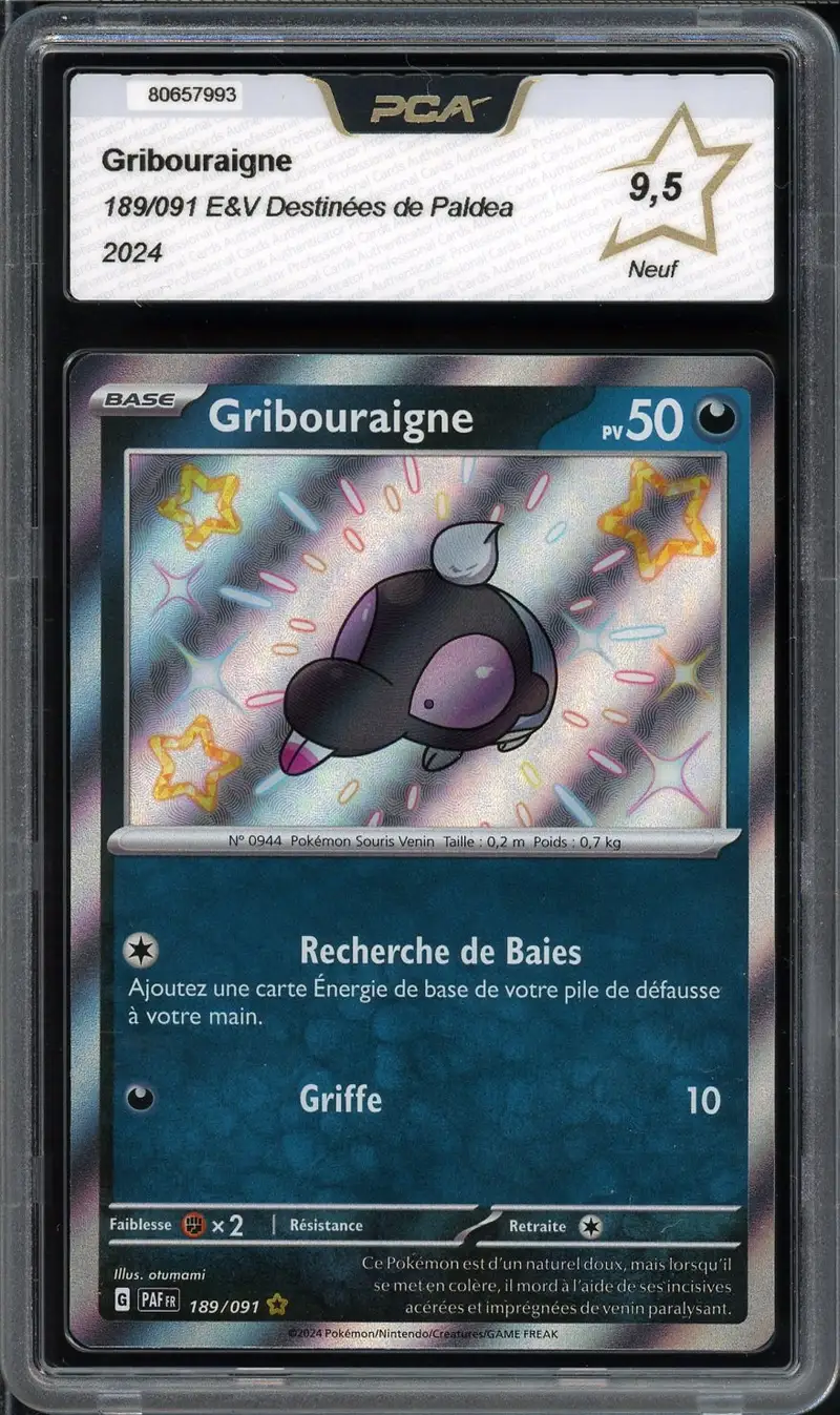 PCA 9.5 Gribouraigne Shiny