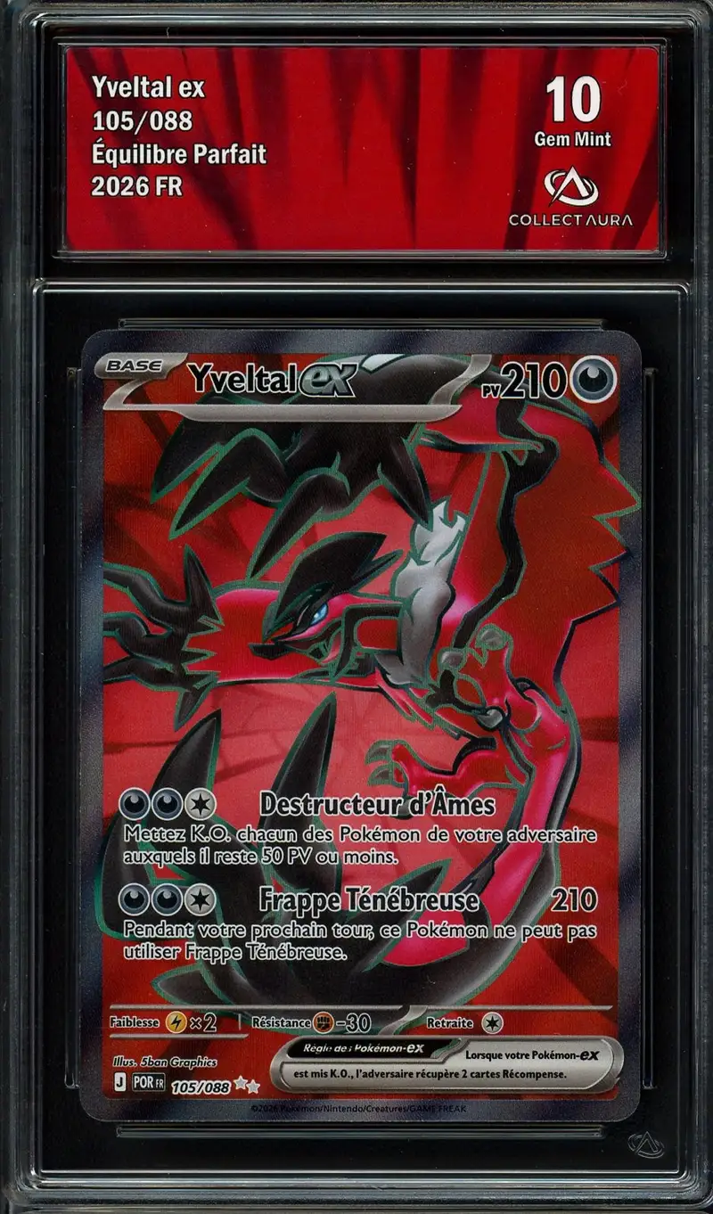 CA 10 Yveltal Ex