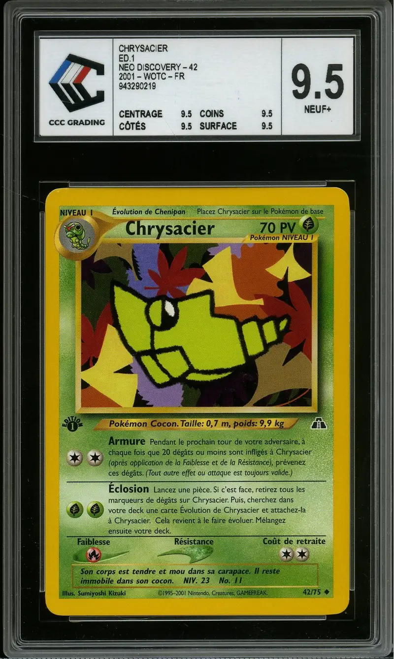 CCC 9.5 Chrysacier