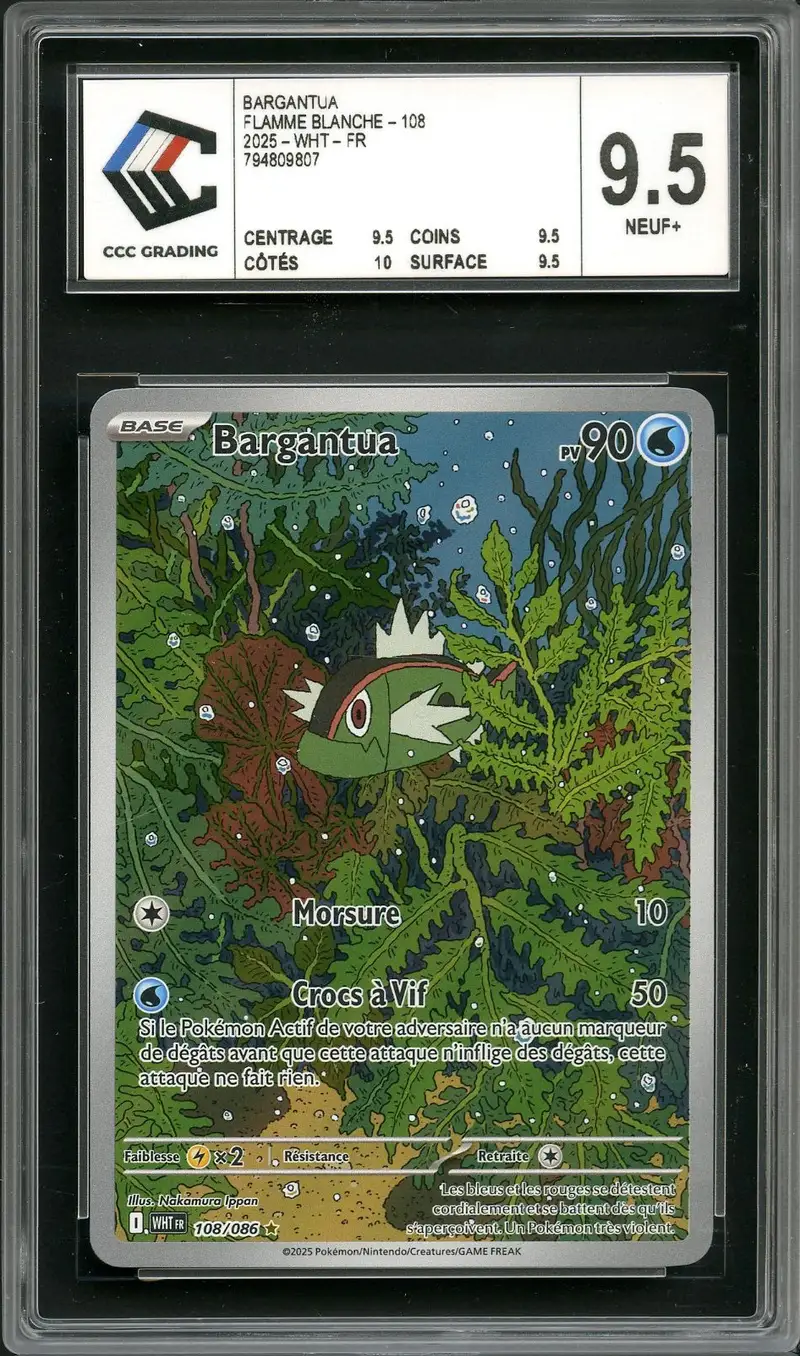 CCC 9.5 Bargantua