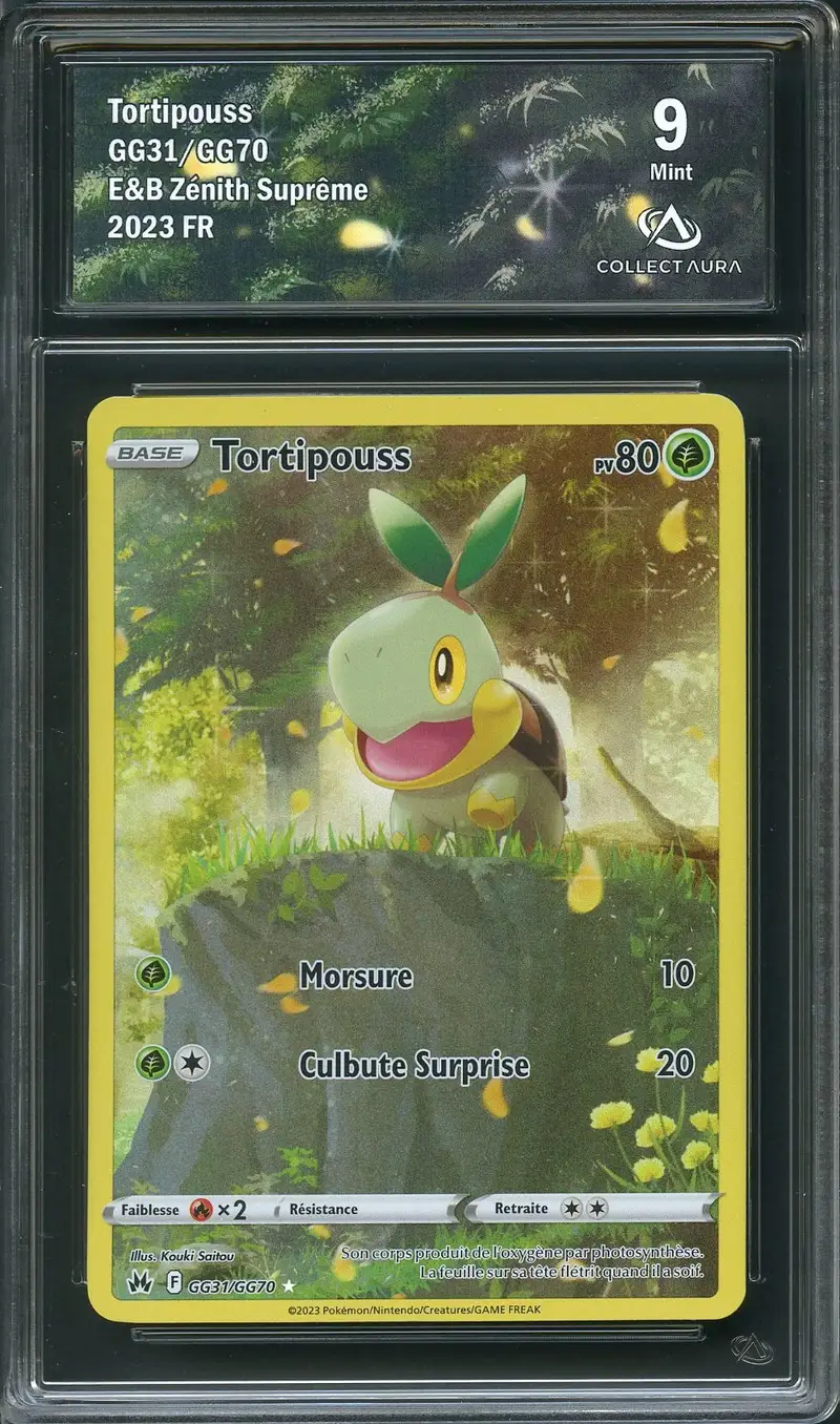 CA 9 Tortipouss