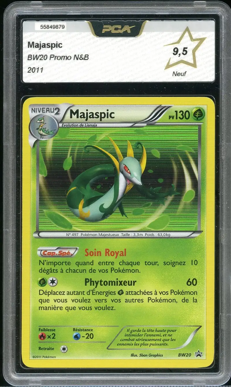 PCA 9.5 Majaspic Holo