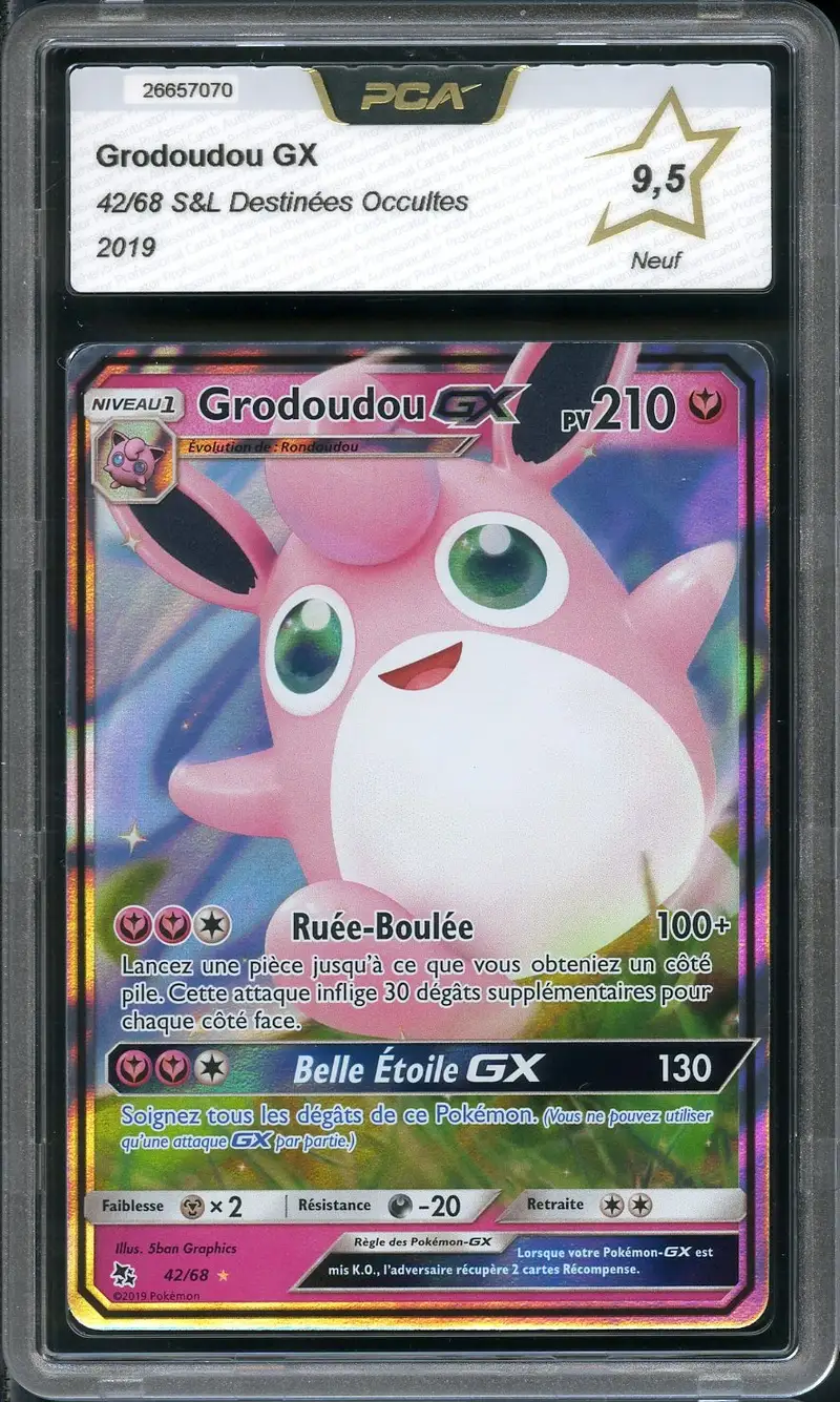 PCA 9.5 Grodoudou Gx