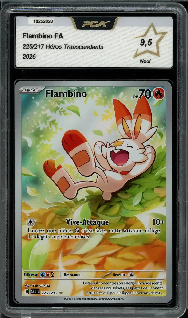 PCA 9.5 Flambino