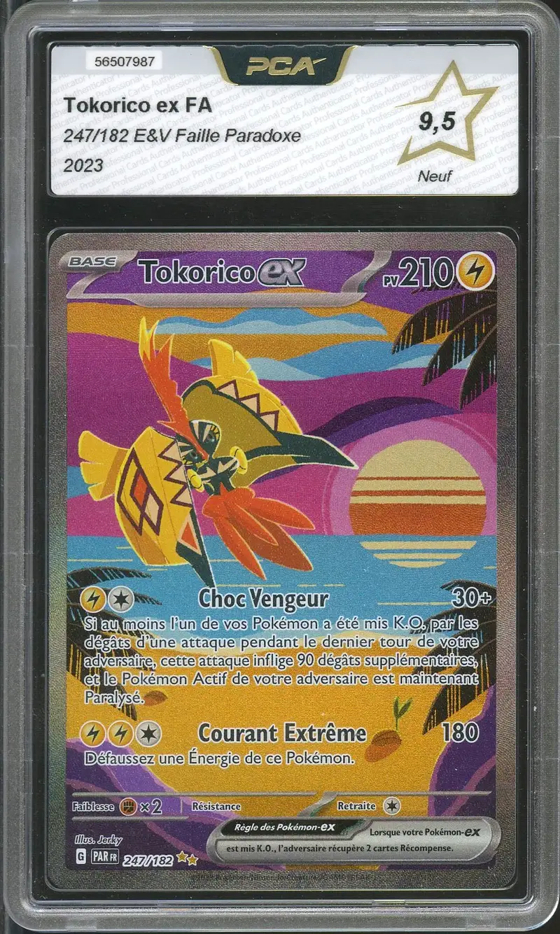 PCA 9.5 Tokorico Ex