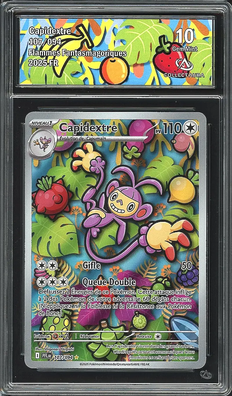 CA 10 Capidextre