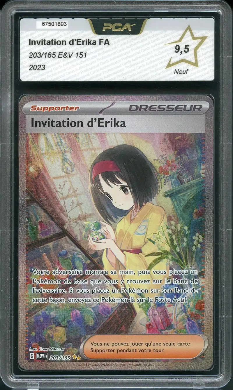 PCA 9.5 Invitation d'Erika