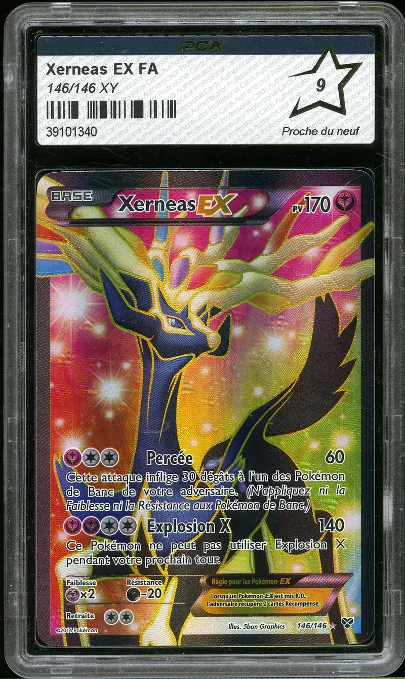 PCA 9 Xerneas Ex