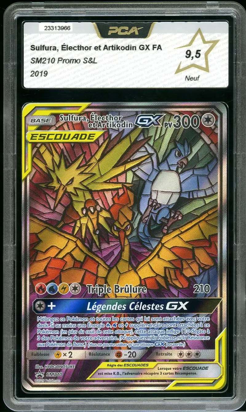 PCA 9.5 Sulfura, Électhor et Artikodin Gx