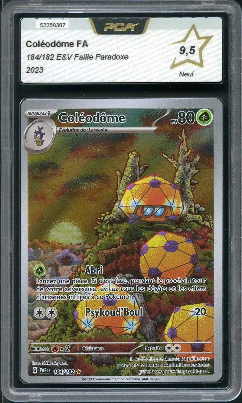 PCA 9.5 Coléodôme