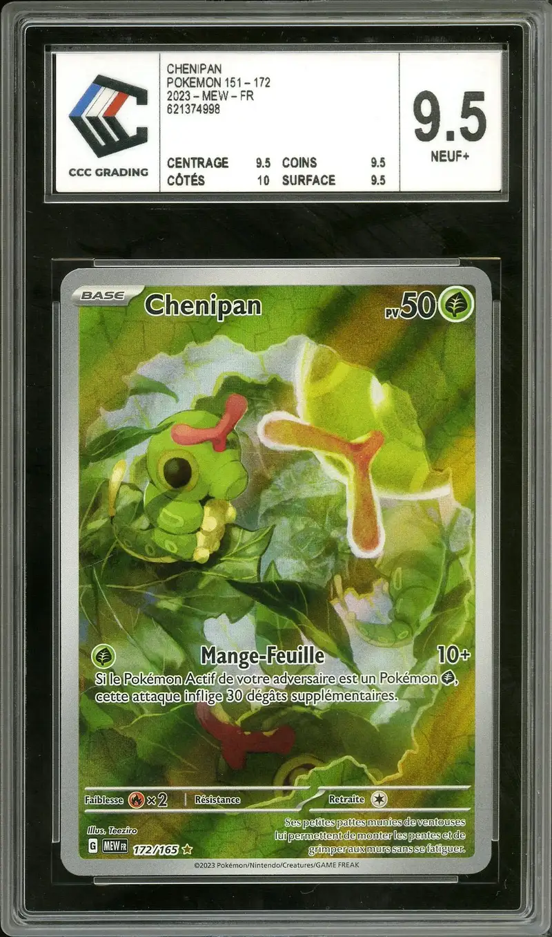 CCC 9.5 Chenipan