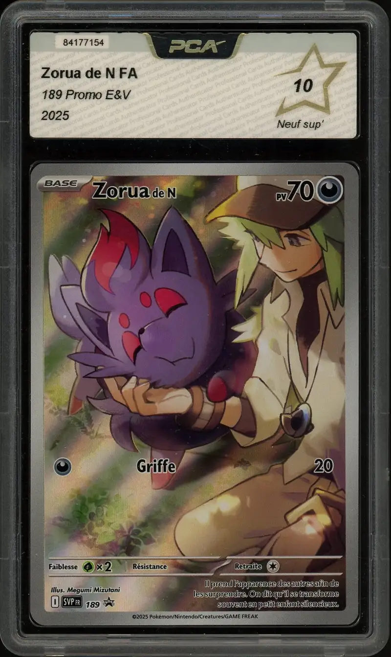 PCA 10 Zorua de N