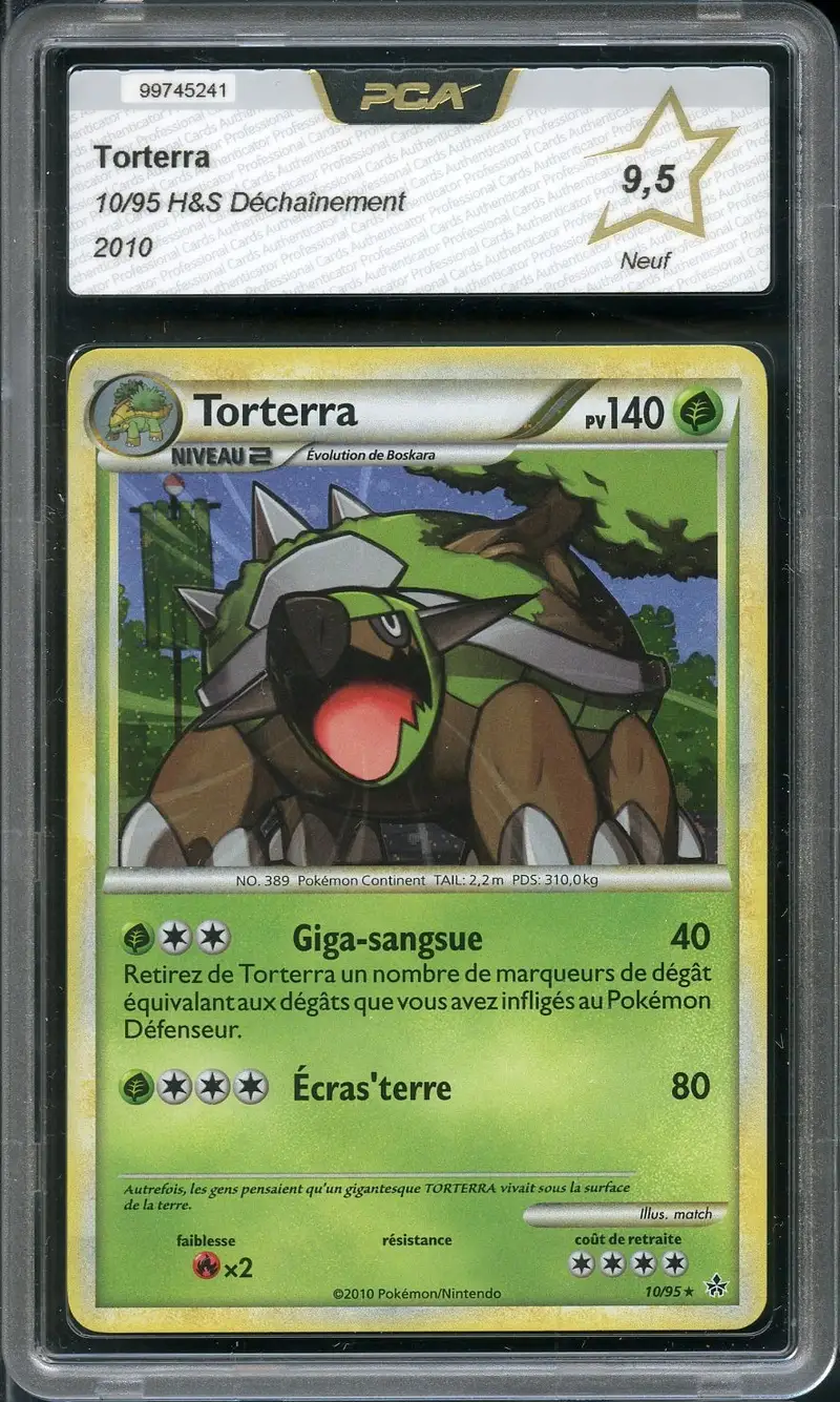 PCA 9.5 Torterra Holo