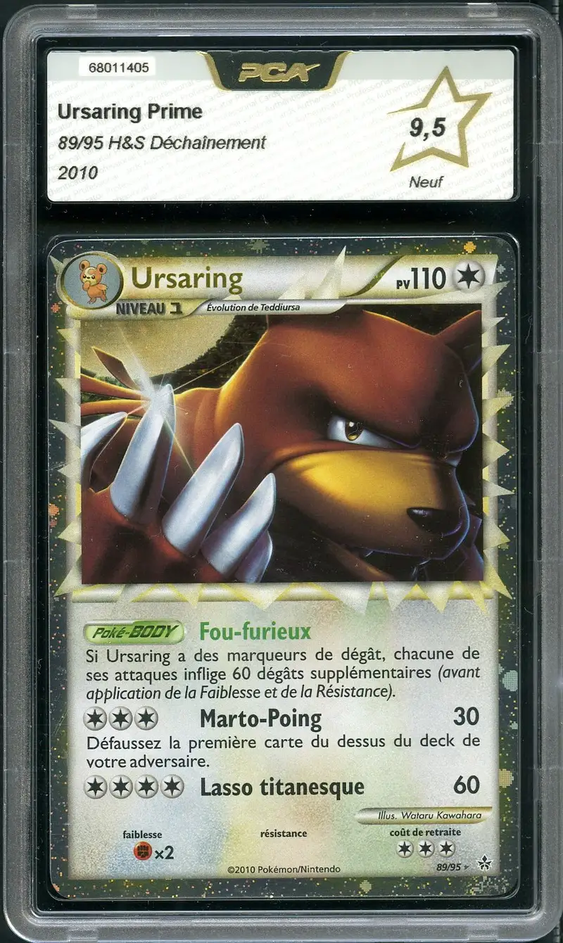 PCA 9.5 Ursaring Prime