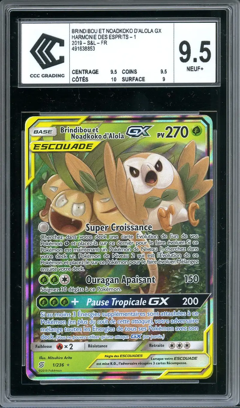 CCC 9.5 Brindibou et Noadkoko d’Alola Gx