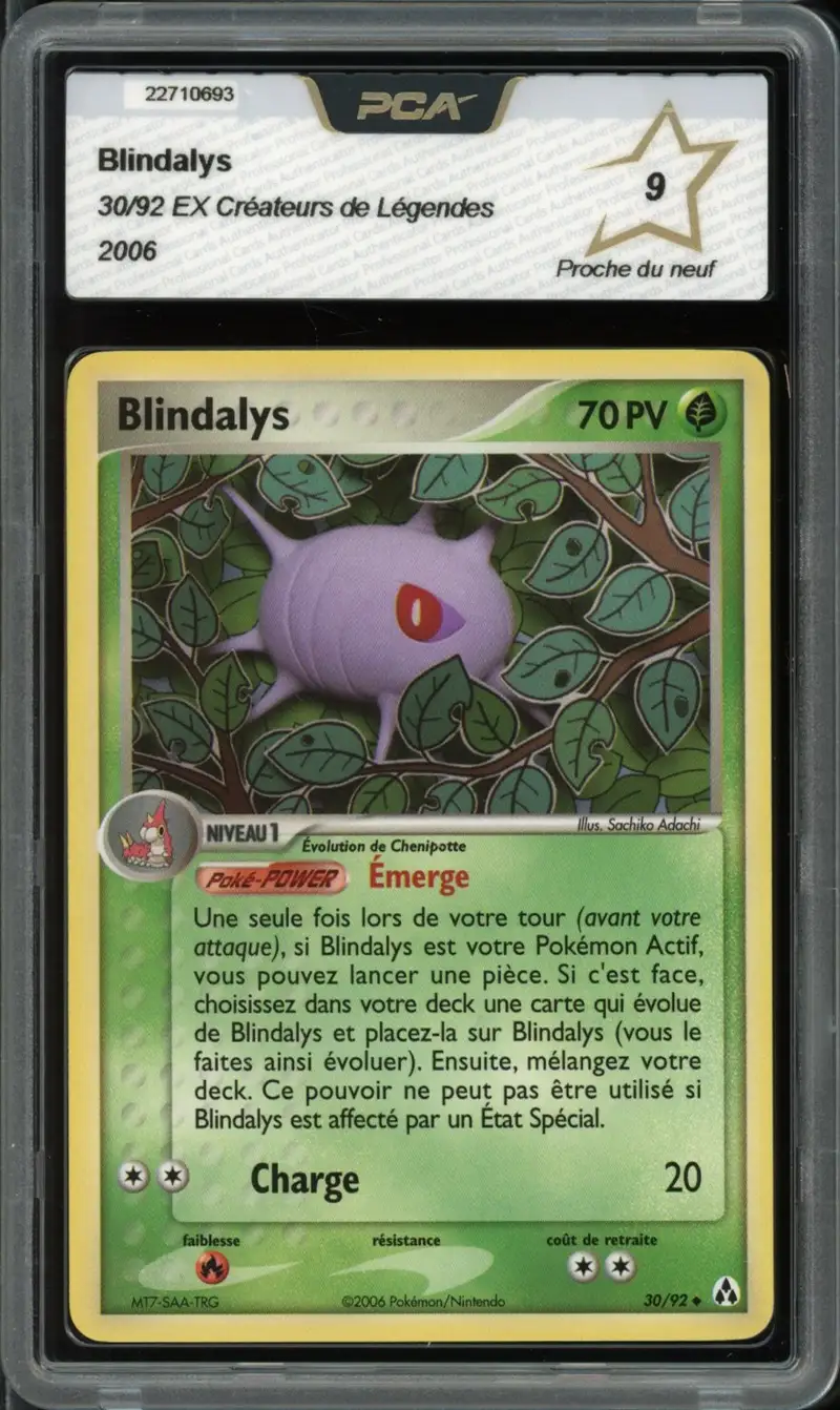 PCA 9 Blindalys