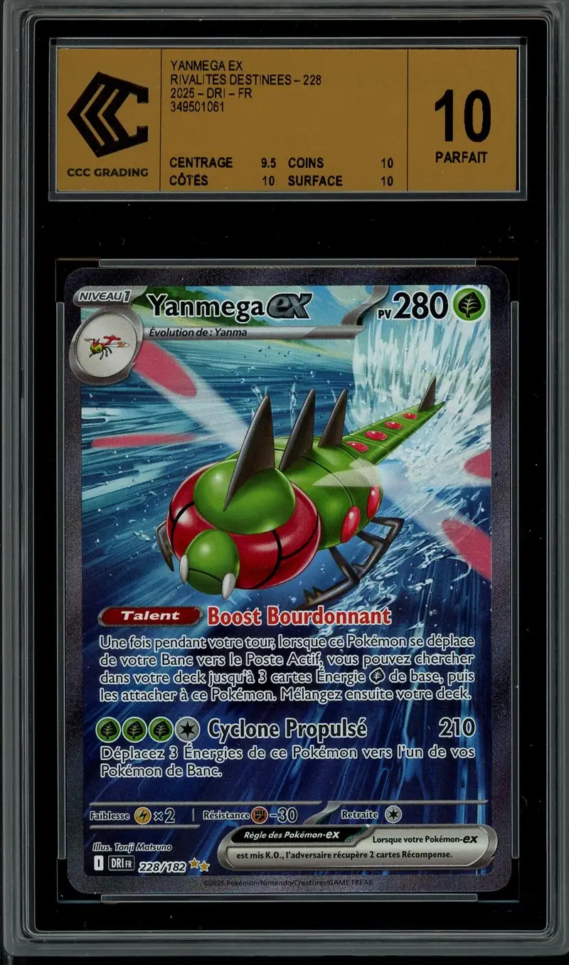 CCC 10 Yanmega Ex
