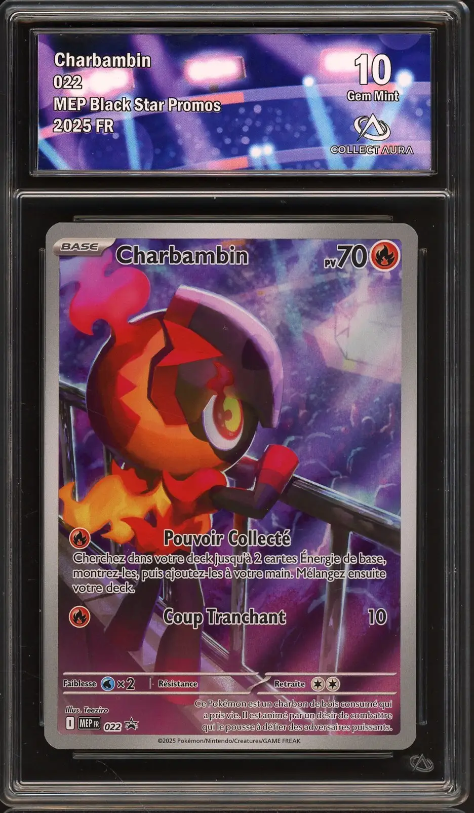 CA 10 Charbambin