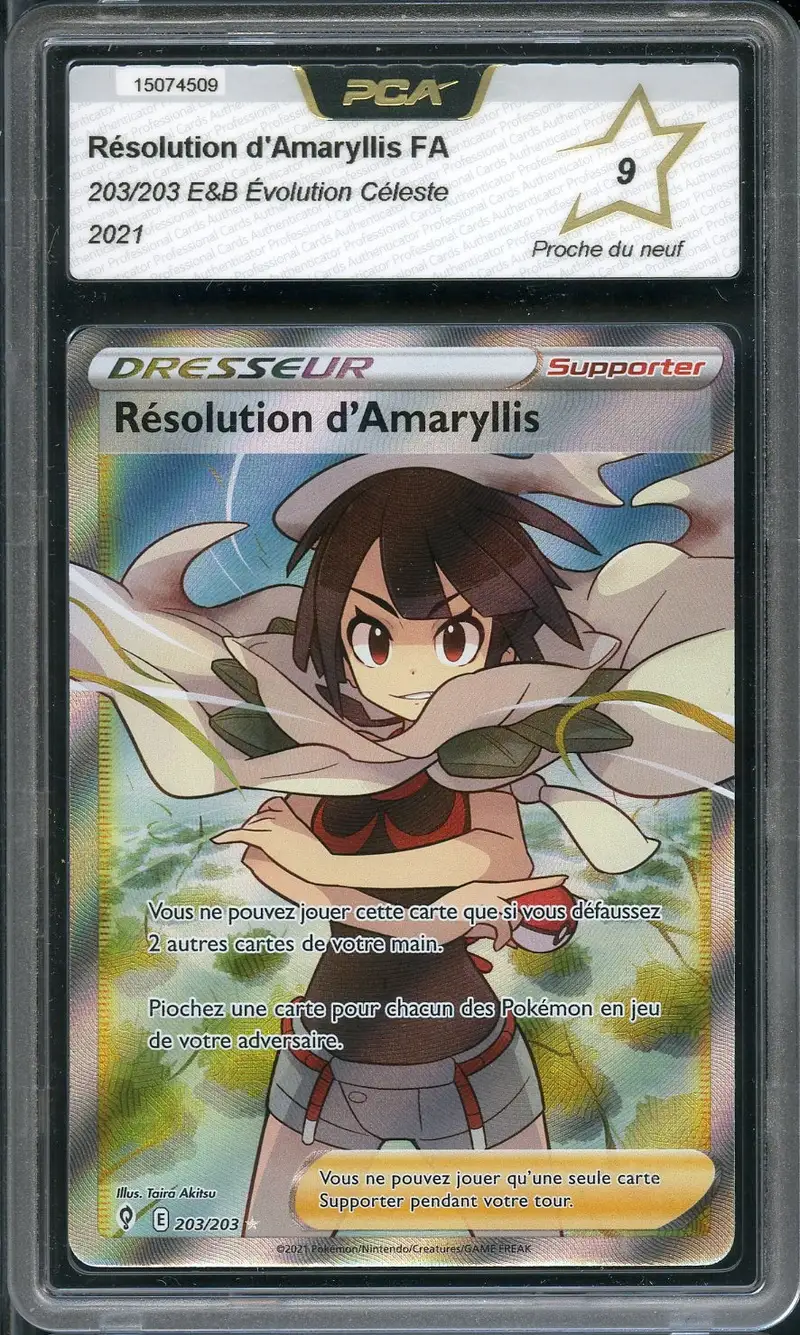 PCA 9 Résolution d'Amaryllis