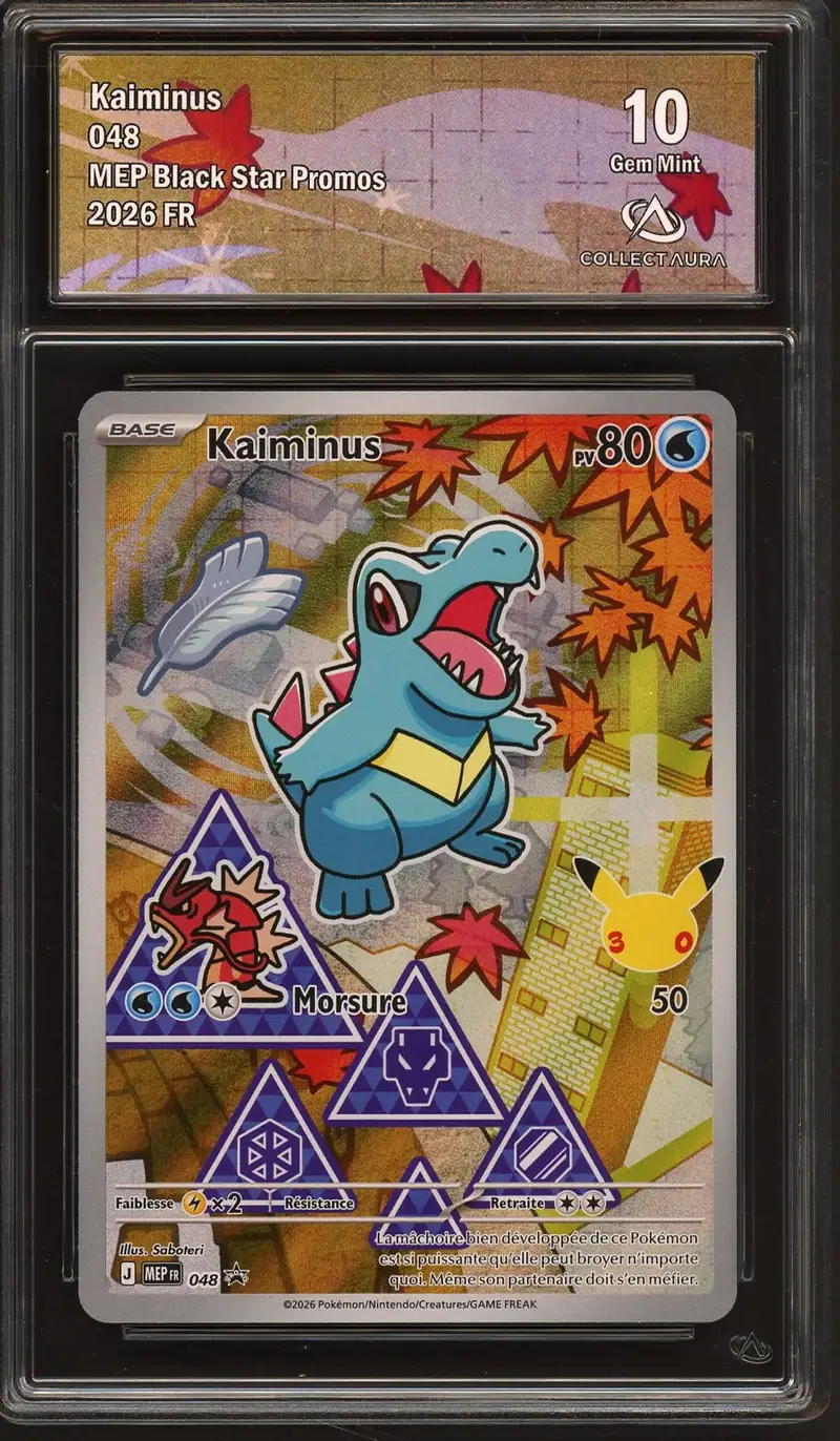 CA 10 Kaiminus