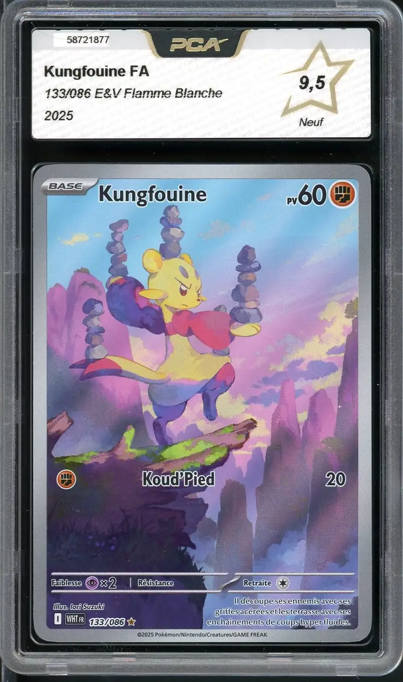 PCA 9.5 Kungfouine