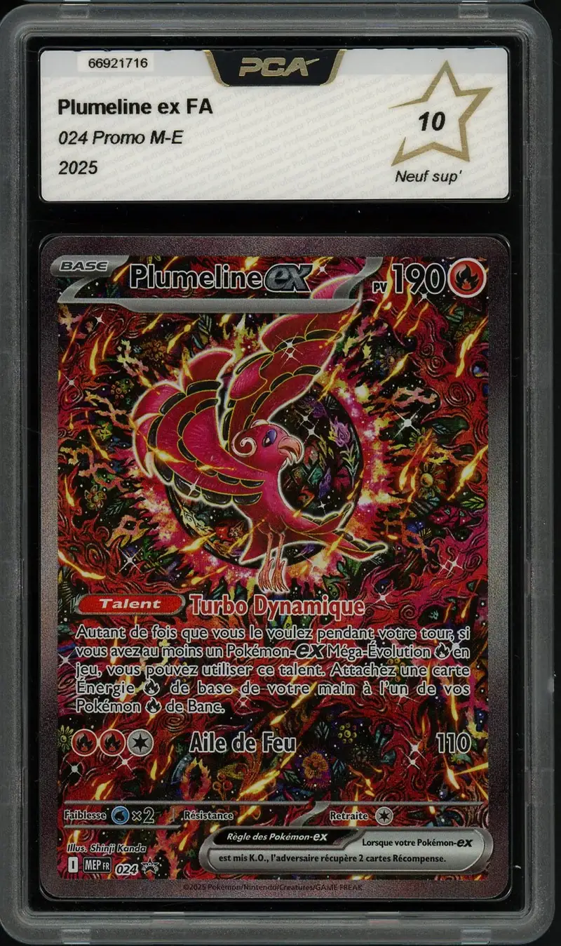 PCA 10 Plumeline Ex