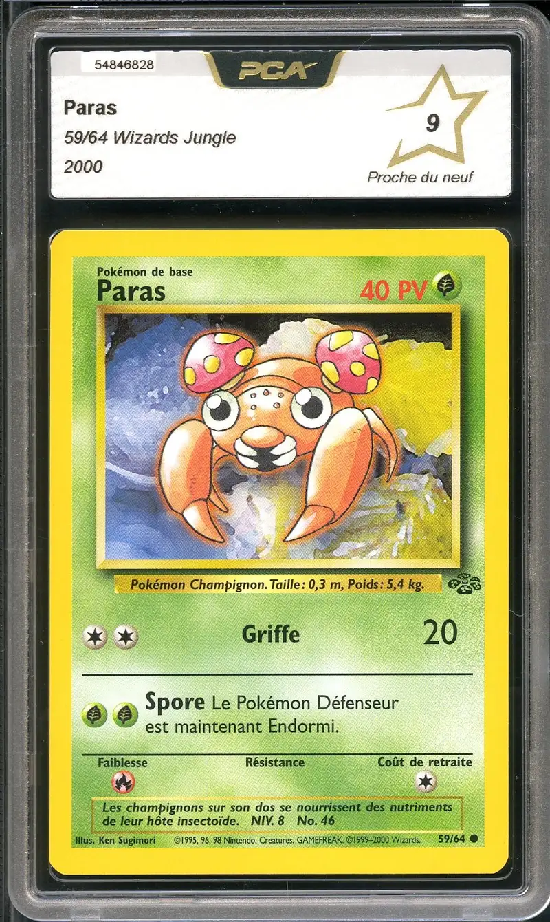 PCA 9 Paras