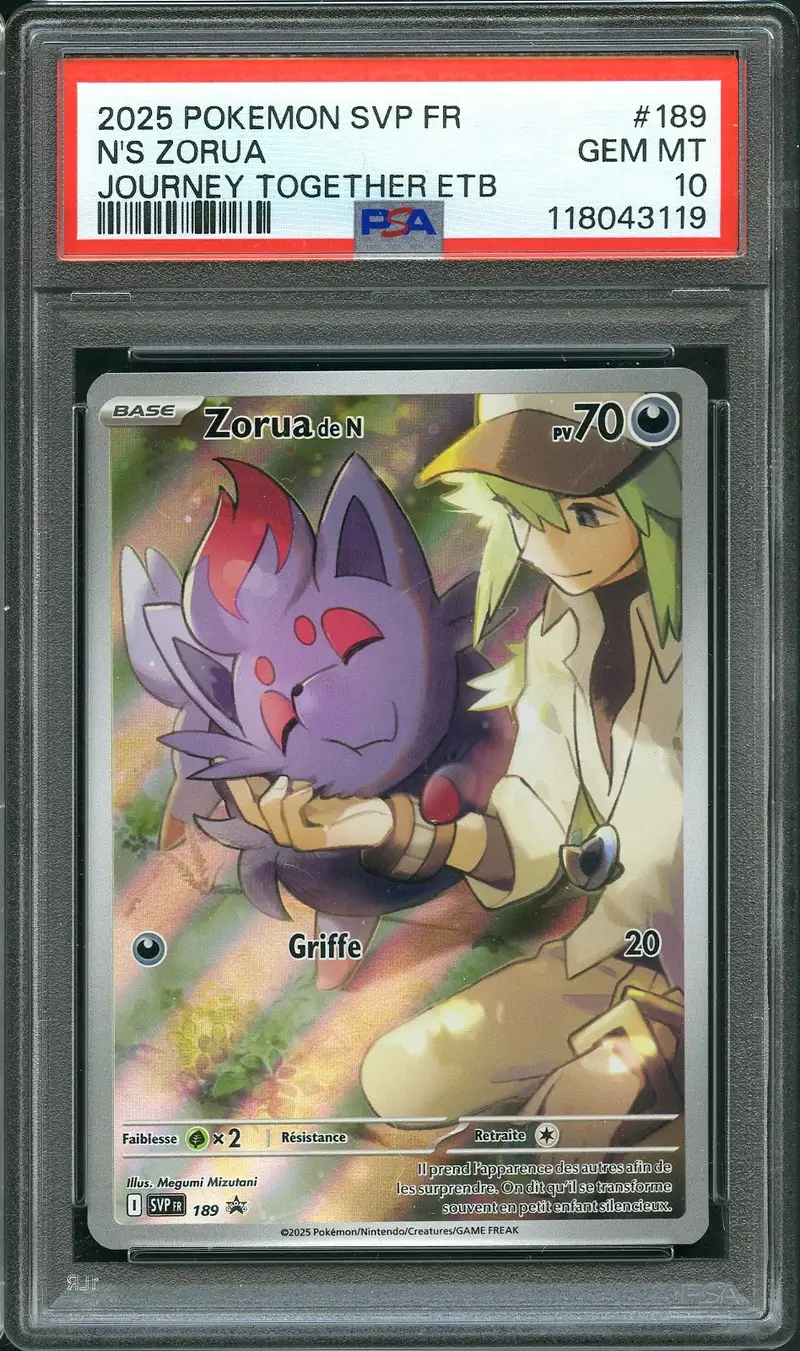PSA 10 Zorua de N