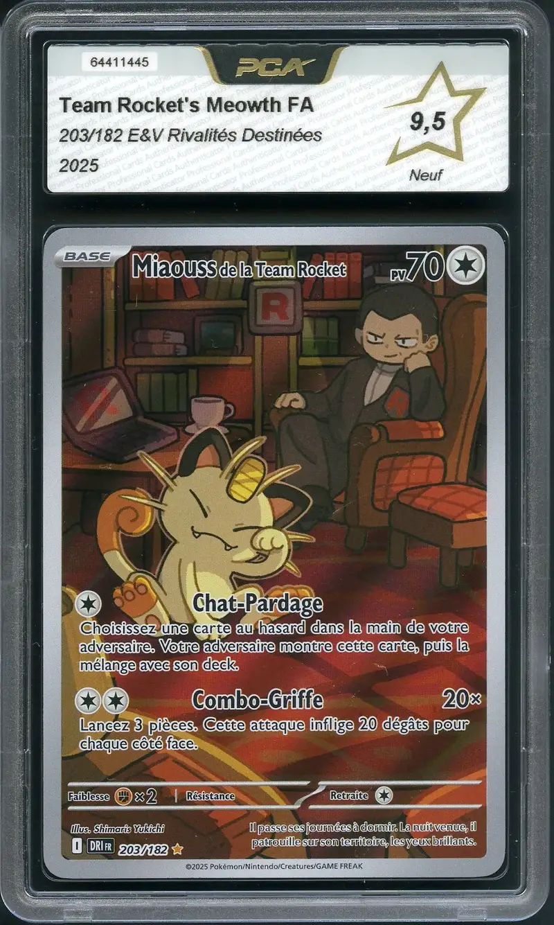 PCA 9.5 Miaouss de la Team Rocket