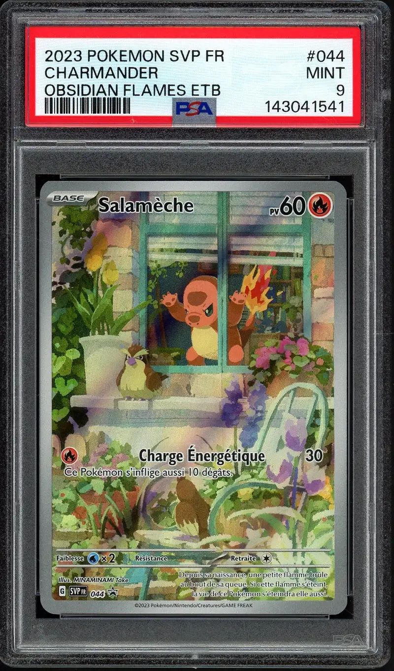 PSA 9 Salamèche
