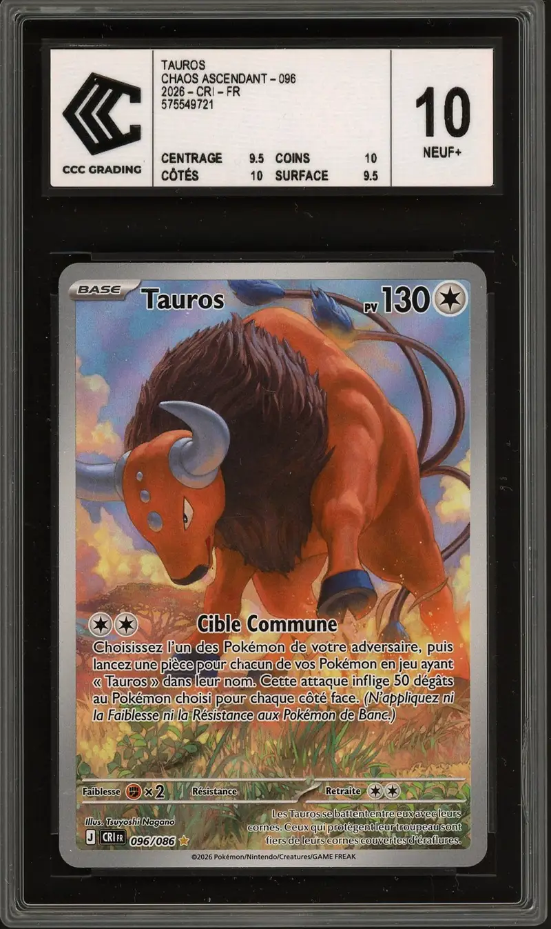 CCC 10 Tauros