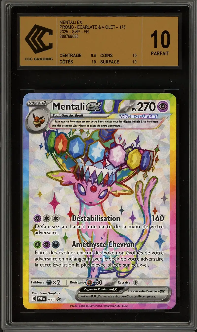 CCC 10 Mentali Ex