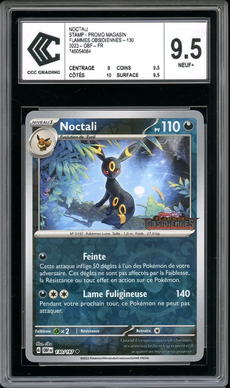 CCC 9.5 Noctali Europe/Asie Exclu