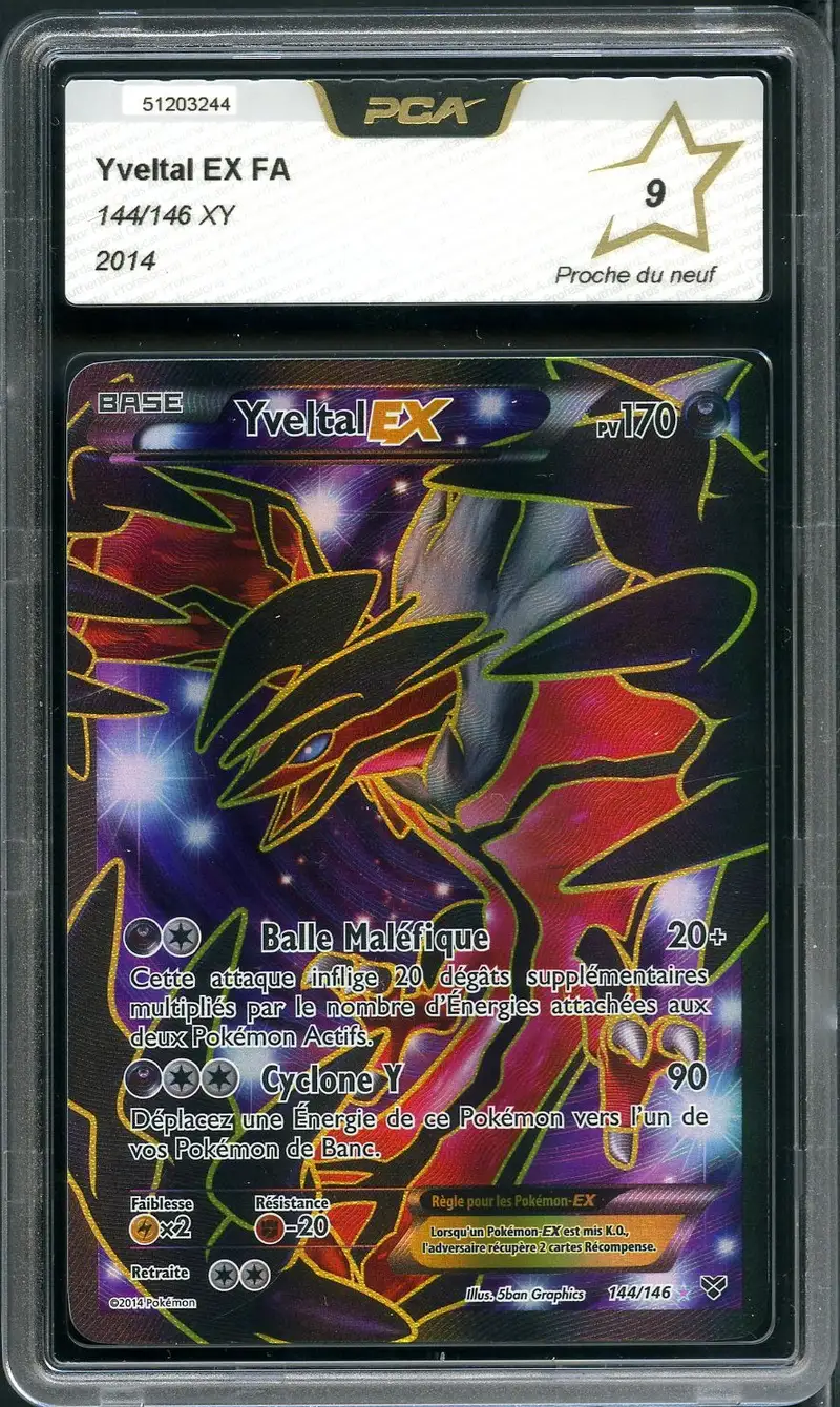 PCA 9 Yveltal Ex