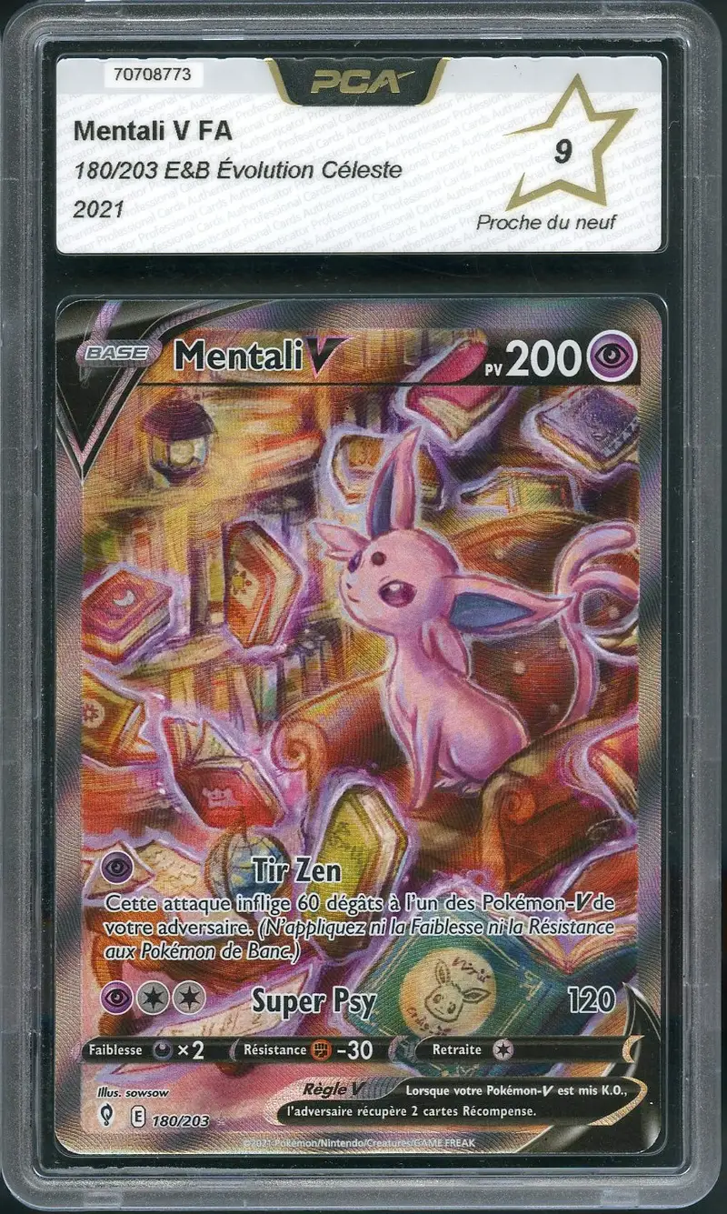 PCA 9 Mentali V