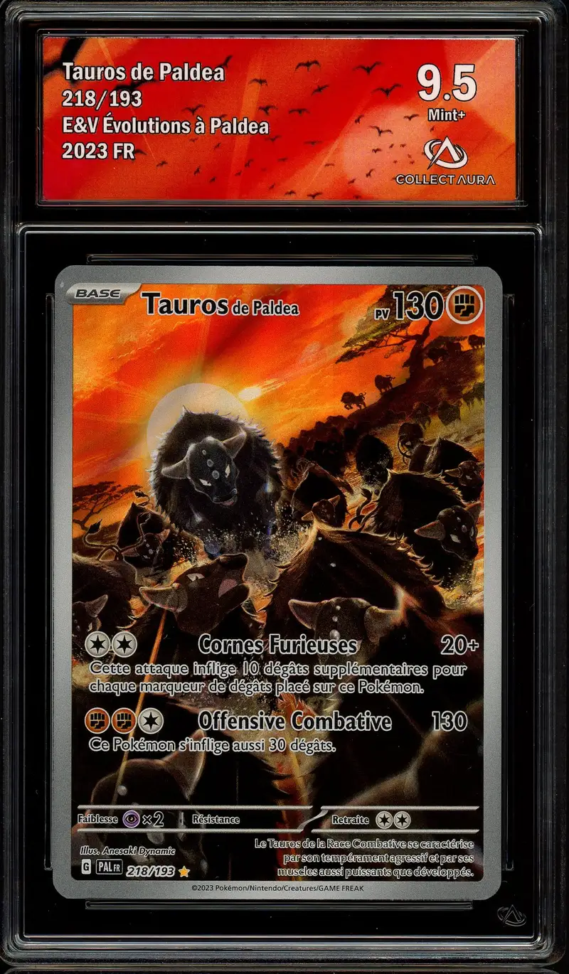 CA 9.5 Tauros de Paldea