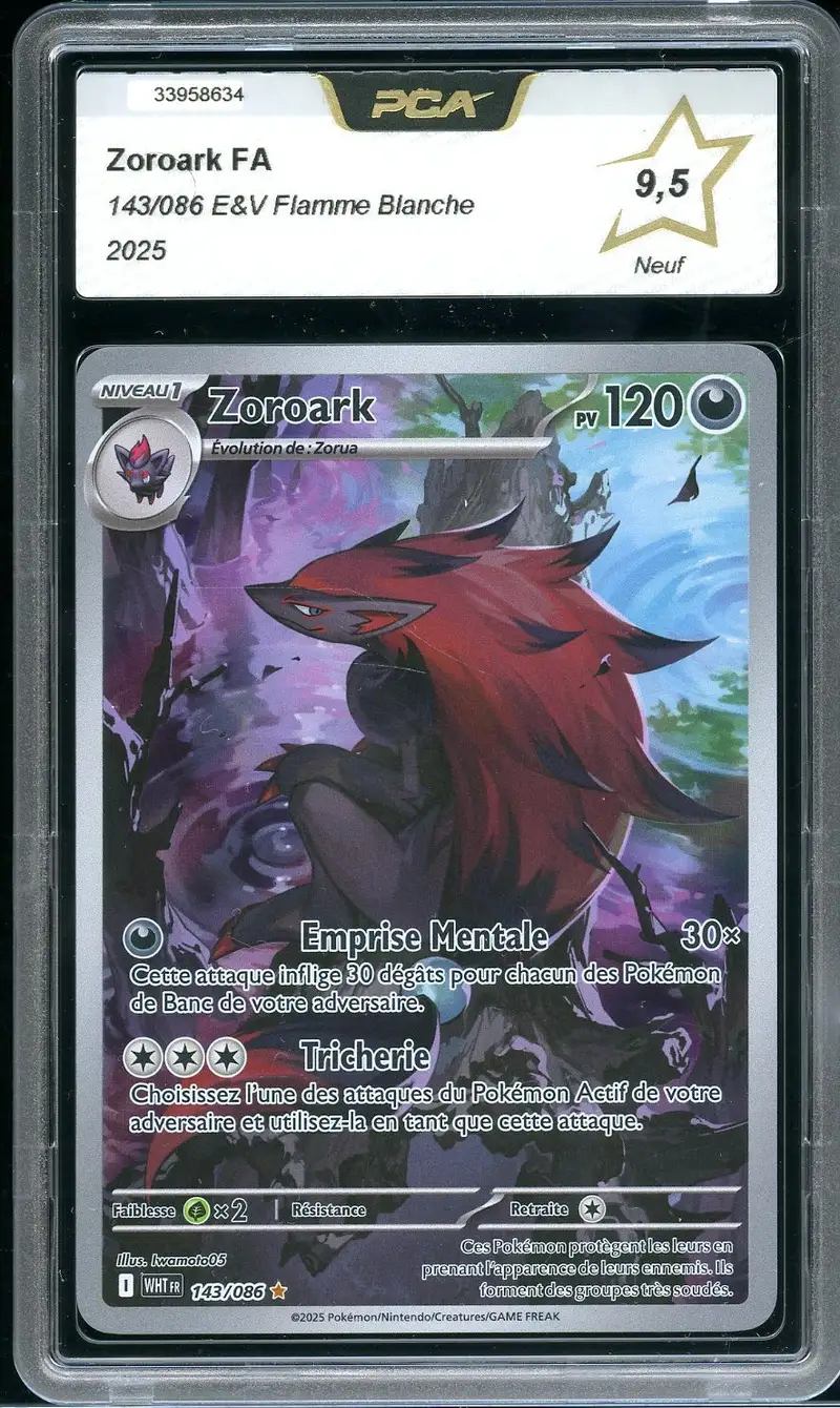 PCA 9.5 Zoroark