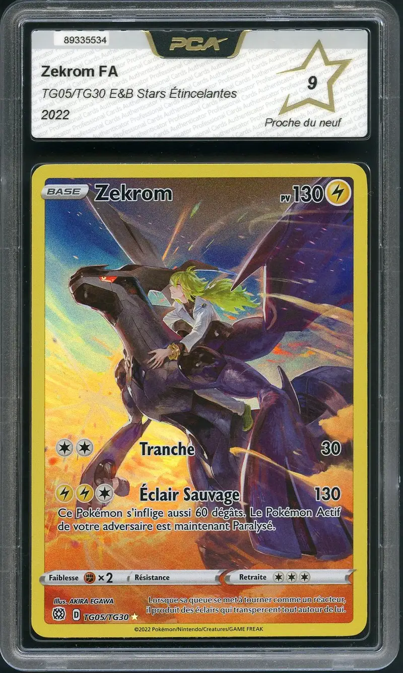 PCA 9 Zekrom