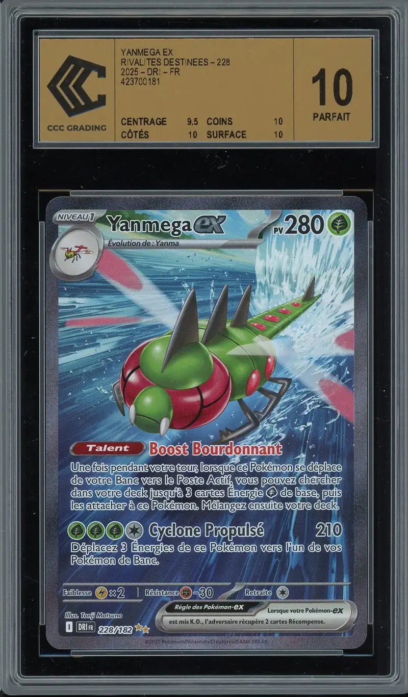CCC 10 Yanmega Ex